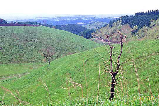 ���̖{������̒��]