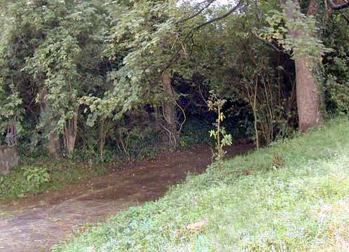 �N���b�N����ƌ��̃y�[�W�֖߂�܂�