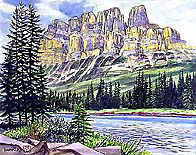 �h�L���X���R�ƃ{�E��h