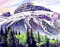 �h�p�C���b�g�R�h