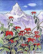 �h�Ԃ��Ԃƃ}�`���v�`�����h