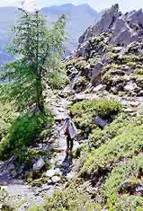 �ʐ^���N���b�N����Ɗg��摜�������܂�