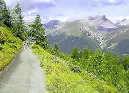 �ʐ^���N���b�N����Ɗg��摜�������܂�