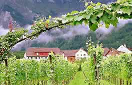 �ʐ^���N���b�N����Ɗg��摜�������܂�