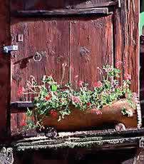 �ʐ^���N���b�N����Ɗg��摜�������܂�