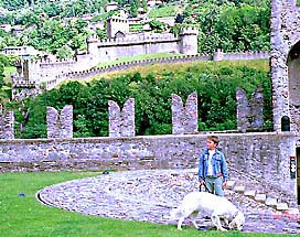 �ʐ^���N���b�N����Ɗg��摜�������܂�