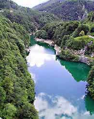 �ʐ^���N���b�N����Ɗg��摜�������܂�