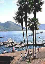 �ʐ^���N���b�N����Ɗg��摜�������܂�