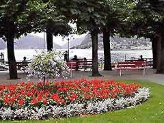 �ʐ^���N���b�N����Ɗg��摜�������܂�