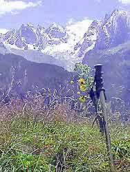 �ʐ^���N���b�N����Ɗg��摜�������܂�