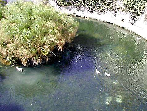 �N���b�N����ƌ��̃y�[�W�֖߂�܂�