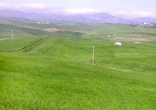 �N���b�N����ƌ��̃y�[�W�֖߂�܂�