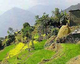 �ʐ^���N���b�N����Ɗg��摜�������܂�