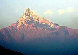 �ʐ^���N���b�N����Ɗg��摜�������܂�