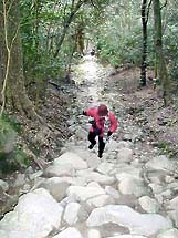 �ʐ^���N���b�N����Ɗg��摜�������܂�