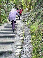 �ʐ^���N���b�N����Ɗg��摜�������܂�