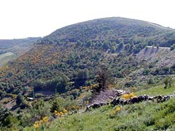 写真をクリックすると拡大画像が見られます