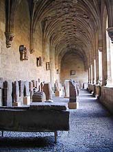 写真をクリックすると拡大画像が見られます