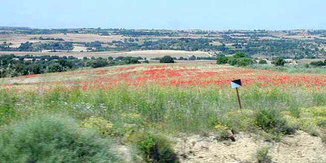 �N���b�N����ƌ��̃y�[�W�֖߂�܂�