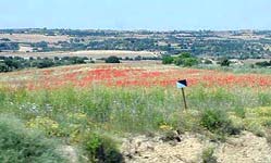 �ʐ^���N���b�N����Ɗg��摜�������܂�