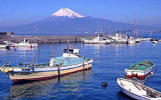 �N���b�N����ƌ��̃y�[�W�֖߂�܂�