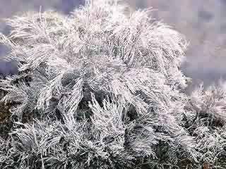 �ʐ^���N���b�N����Ɗg��摜�������܂�